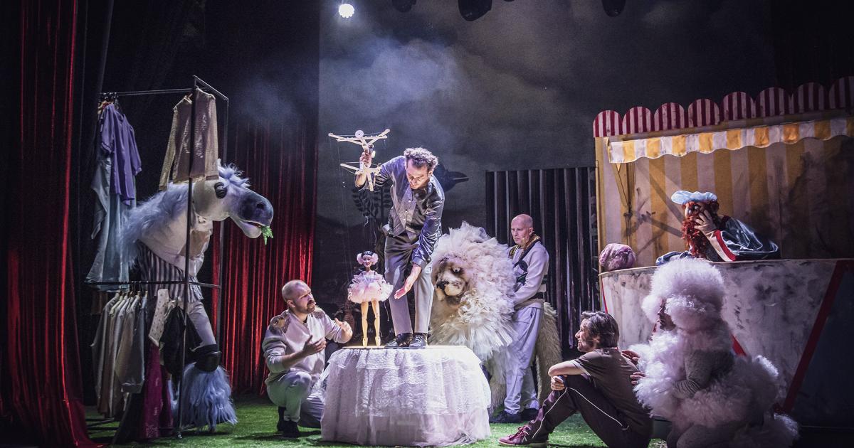 „Tarabumba! Ale Cyrk…” – prapremiera 20 września w Teatrze Groteska