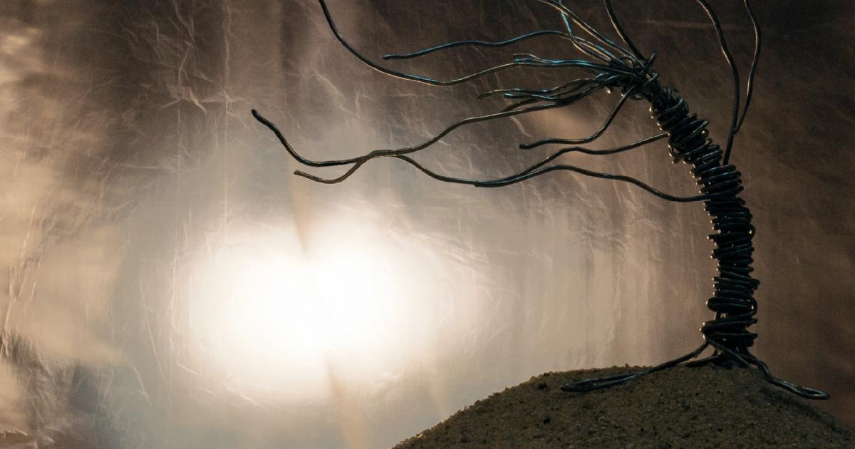 Jacek Tyski: Interesuje mnie ruch, który coś mówi