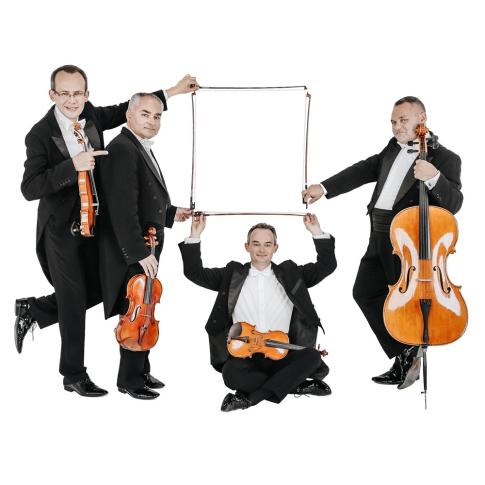 Grupa Mocarta