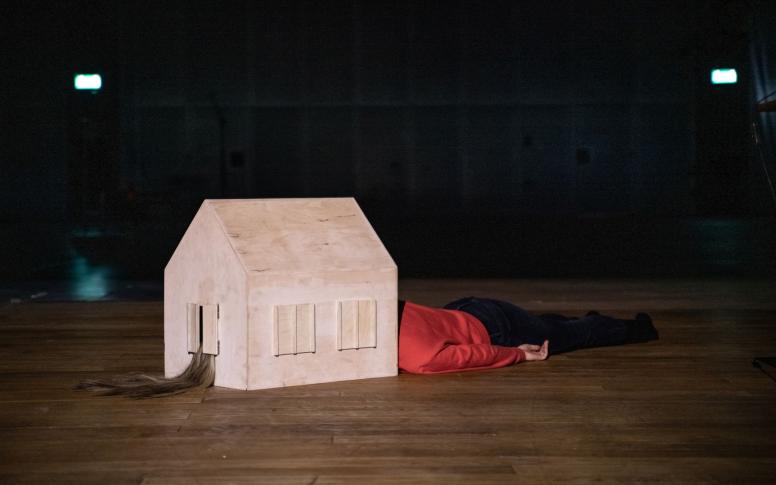Nowy Teatr, Małgorzata Wdowik, Wstyd