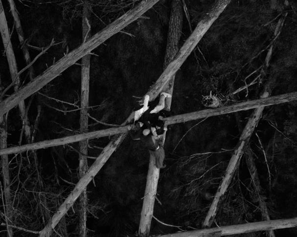 Fryderyki: Bądź silny