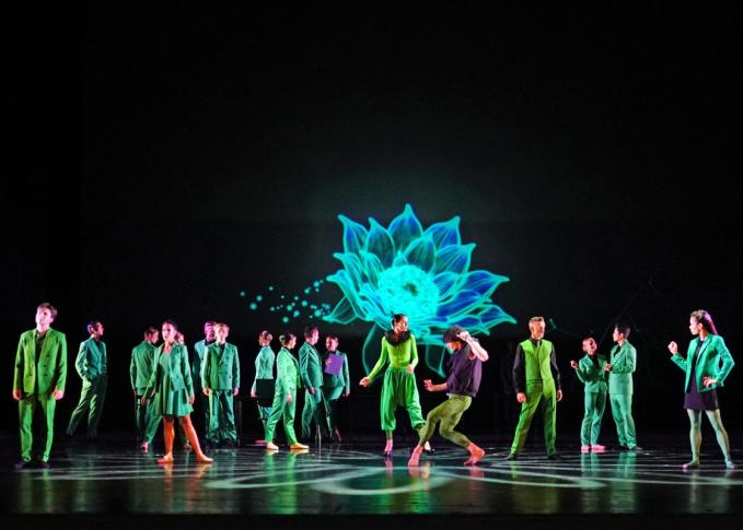 Displaced, Mandragora i Bolero – balety w Teatrze Wielkim Łodzi