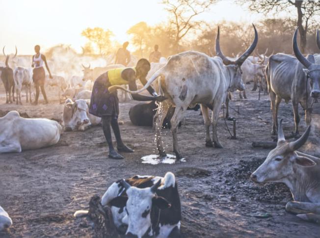 Krzysztof Werema, Życiodajna woda