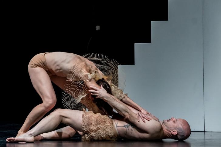 Kreatur, Sasha Waltz&Guests, fot. A. Kaczmarz