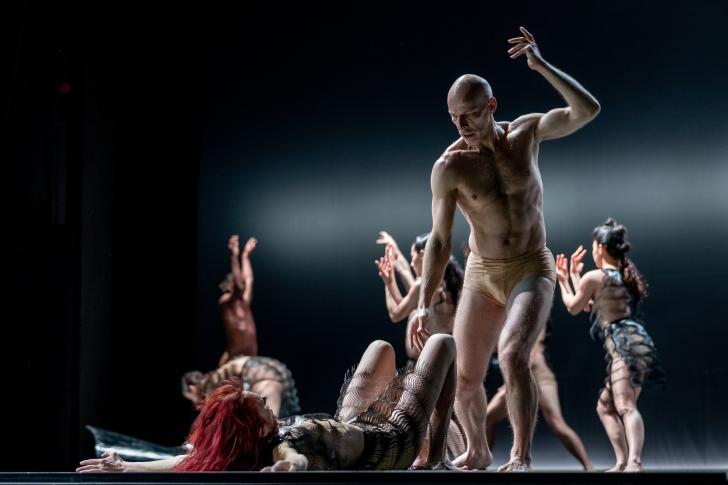 Kreatur, Sasha Waltz&Guests, fot. A. Kaczmarz