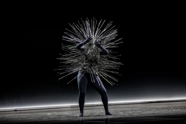 Kreatur, Sasha Waltz&Guests, fot. A. Kaczmarz