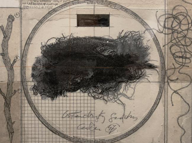 Andrzej Bednarczyk, Całun