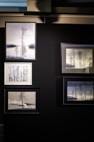 Rafał Borcz, Cisze Przyrody, Miejska Galeria Sztuki w Częstochowie