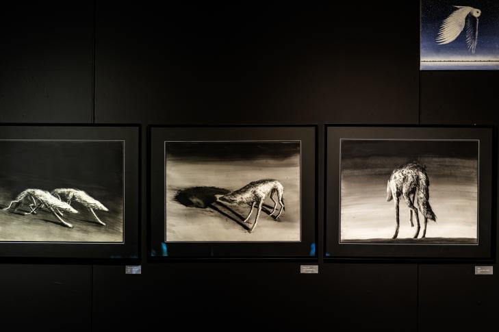 Rafał Borcz, Cisze Przyrody, Miejska Galeria Sztuki w Częstochowie