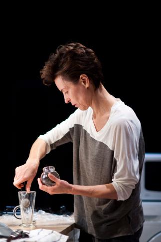 Danuta Stenka, Koncert życzeń