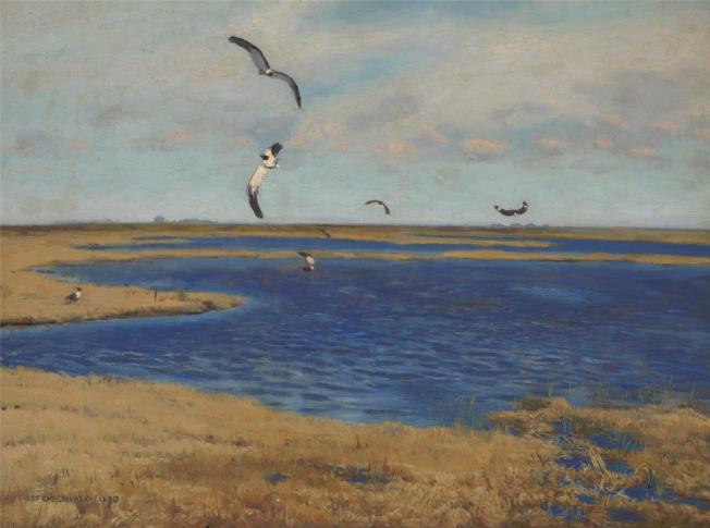 "Czajki" 1890 olej, płótno; Muzeum Śląskie, Katowice "Czajki" 1890 olej, płótno; Muzeum Śląskie, Katowice