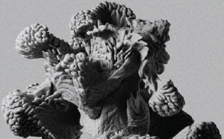 mat. pras. Akademickie Centrum Designu