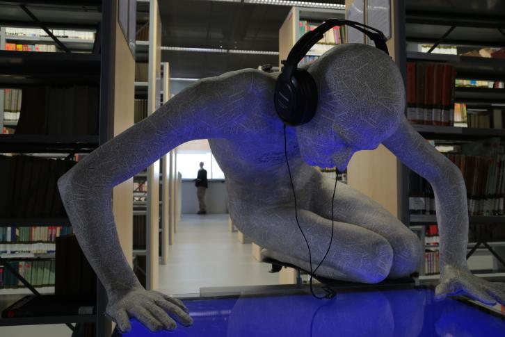 Andrzej Bednarczyk, Projekt Narzyz, Bibliteka Narcyzów