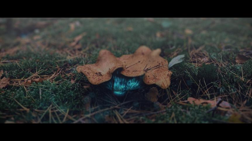 Jaki powinien być po prostu człowiek? [teledyski Kasi Jaźnickiej]