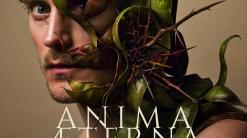 „Anima aeterna” Jakuba Józefa Orlińskiego, okładka płyty