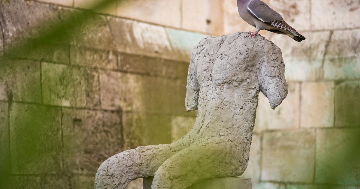 Abakanowicz. Bez reguł. Rzeźby w ogrodach królewskich na Wawelu