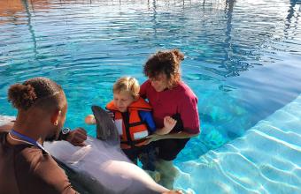 delfinoterapia niepełnosprawnego dziecka