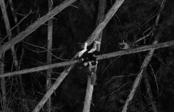 Fryderyki: Bądź silny