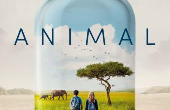 Ludzkość jako współczesna asteroida [o filmie dokumentalnym „Animal” + EKOKONKURS dla najmłodszych]