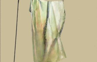 "Jaśnienia" Janiny Osewskiej 