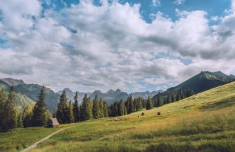 Rusinowa Polana, fot. Tomasz Paciorek
