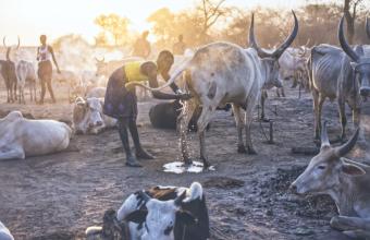 Krzysztof Werema, Życiodajna woda