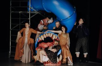 Iwona Księżniczka Burgunda - Teatr Ludowy w Krakowie, fot. mat. org.