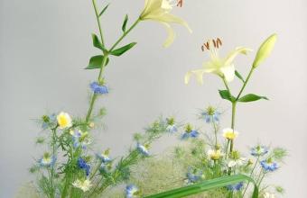 Ikebana dla Ukrainy w Muzeum Manggha