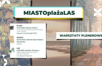 MIASTOplażaLAS – warsztaty plenerowe