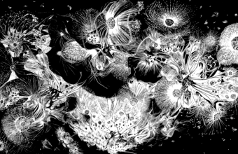 Józef Gielniak, Improwizacja dla Grazynki