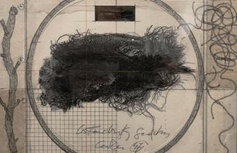 Andrzej Bednarczyk, Całun