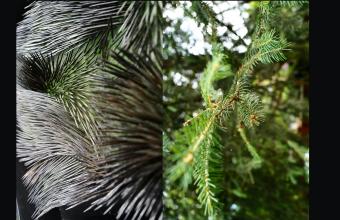 Wystawa „W cieniu światła” LA Farby