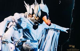 Dzikie Łabędzie MTM