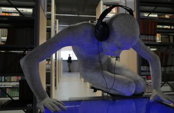 Andrzej Bednarczyk, Projekt Narzyz, Bibliteka Narcyzów