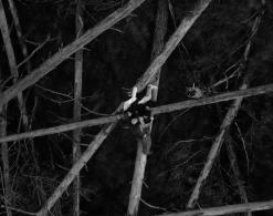 Fryderyki: Bądź silny