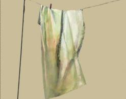 "Jaśnienia" Janiny Osewskiej 