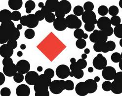 rys. Anastazja Pazura