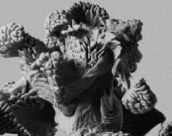 mat. pras. Akademickie Centrum Designu