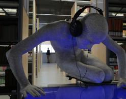 Andrzej Bednarczyk, Projekt Narzyz, Bibliteka Narcyzów