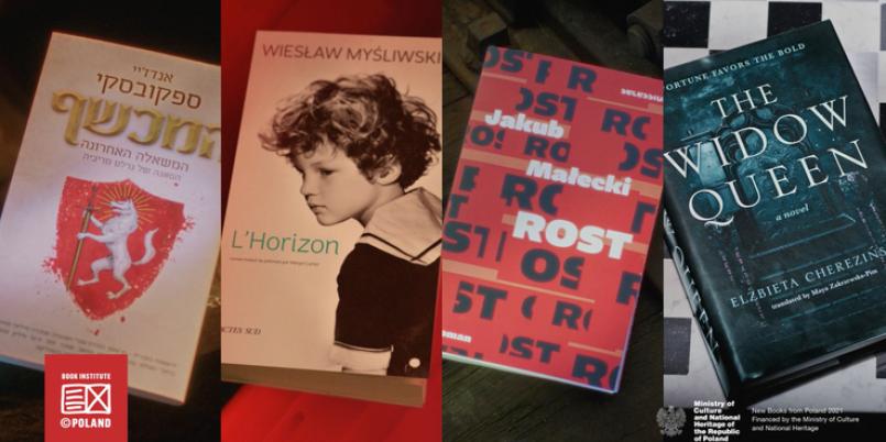 Cherezińska, Małecki, Myśliwski i Sapkowski w globalnej kampanii Instytutu Książki