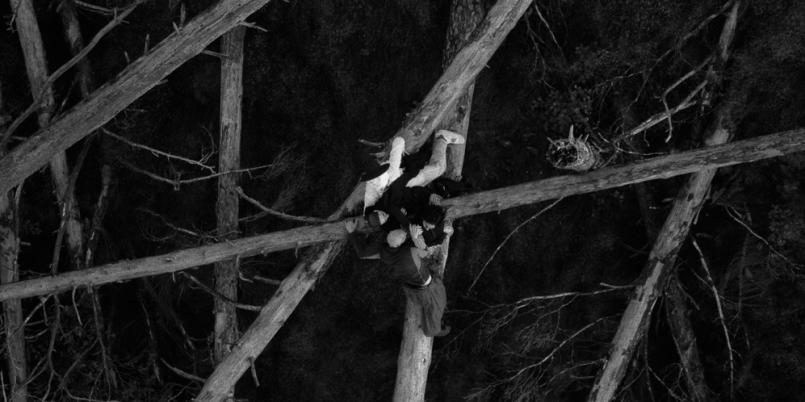 Fryderyki: Bądź silny