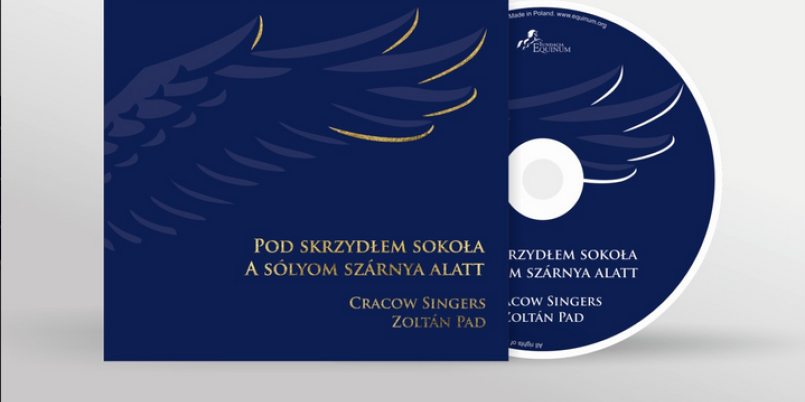  Pod skrzydłem sokoła płyta