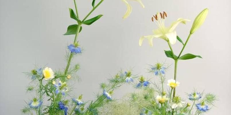 Ikebana dla Ukrainy w Muzeum Manggha