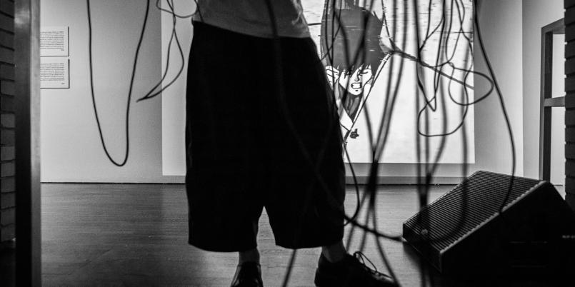 fot. Kamil A. Krajewski