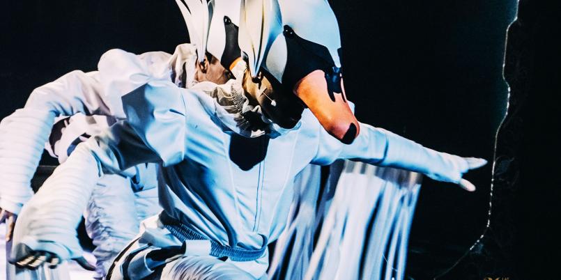 Dzikie Łabędzie MTM