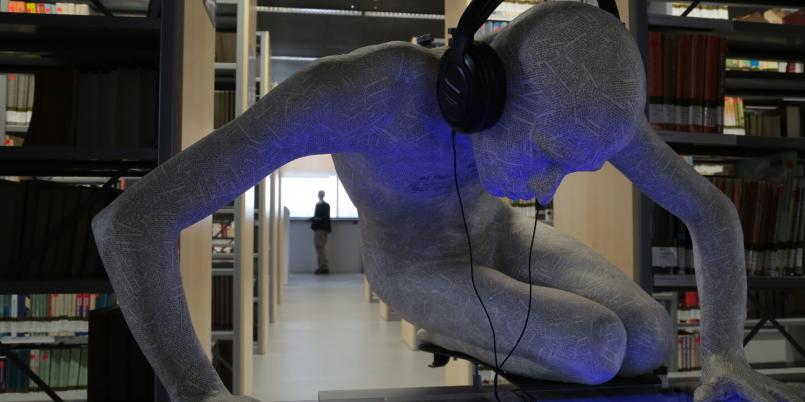 Andrzej Bednarczyk, Projekt Narzyz, Bibliteka Narcyzów